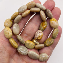 Load image into Gallery viewer, 3 Fossilized Coral Focal Oval Beads 8970
