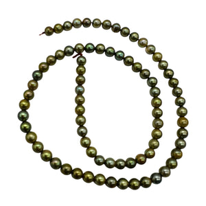 Fresh Water Pearls 16" Strand Round Pearls | 5mm | Golden Green | 1 Strand |