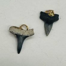 Load image into Gallery viewer, Shark Teeth Natural Fossilized Pendants | 1&quot; Long | Grey, White | 2 Pendants |
