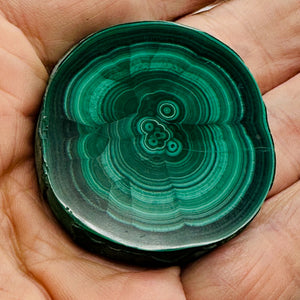 Malachite 37g Polished Round Stalactite Slice | 1 Specimen | | 46x41x7mm | Green