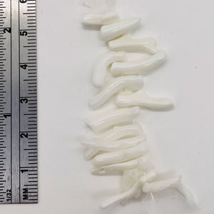 Coral Branch Beads | 16x3 to 12x2mm | White | 14 Beads |