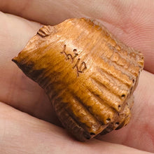 Load image into Gallery viewer, Mermaid in a Nautilus Shell Signed Netsuke Bead | 25x21x14mm | Brown
