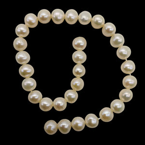 Premium 6.5 x 7mm Cream White FW Pearl Strand 101304