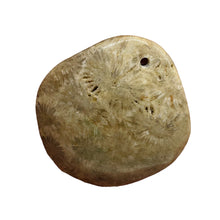 Load image into Gallery viewer, Coral Fossilized with Tiny Critters Pendant Bead | 46x43x8mm | 1 Bead |
