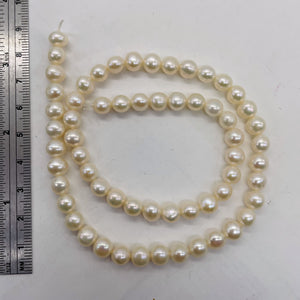 Premium 6.5 x 7mm Cream White FW Pearl Strand 101304