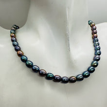 Load image into Gallery viewer, Blue Pink Lavender Freshwater Pearl Strand | Near-Round Oval | 7x6mm| 55 Pearls
