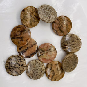 Feldspar Coin Bead Strand | 35x6mm | 11 Beads | Tan Black Red |