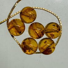 Load image into Gallery viewer, Amber Round Beads | 6 1/2 mm | Yellow | 8 Beads |
