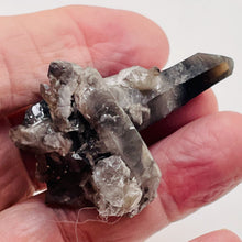 Load image into Gallery viewer, Smoky Quartz Crystal Cluster 29g Natural Display Specimen| 55x38x35mm| Smoky | 1
