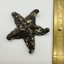 Load image into Gallery viewer, 1 Hand Carved Mica Quartz Starfish Bead | 59x54x11mm | Red White and Grey
