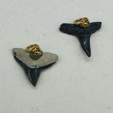 Load image into Gallery viewer, Shark Teeth Natural Fossilized Pendants | 1&quot; Long | Grey, White | 2 Pendants |
