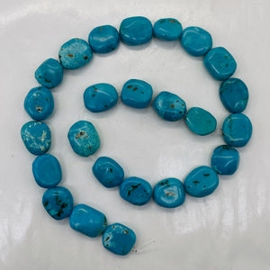 Natural Turquoise Flat, Smooth Nuggety Bead Strand 109352