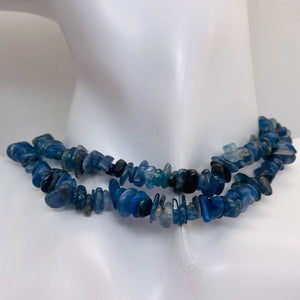 Kyanite Strand Chip Beads | 11x8x5 to 7x5x4mm | Blue | 200 Beads |
