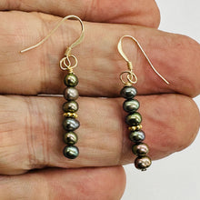 Load image into Gallery viewer, Coppery Rainbow Platinum Freshwater Pearl 14K Gold Filled Earrings 4mm 1.5"

