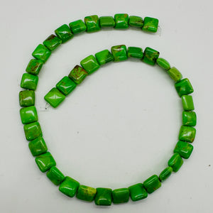 Turquoise AAA Square Bead Strand | 10x10x5mm | Green, Gold, Brown | 39 Beads |