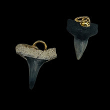 Load image into Gallery viewer, Shark Teeth Natural Fossilized Pendants | 1&quot; Long | Grey, White | 2 Pendants |
