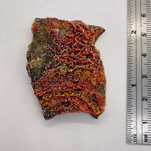 Chalcopyrite 17g Display Specimen | 40X30X5mm | Magenta | 1 Specimen |