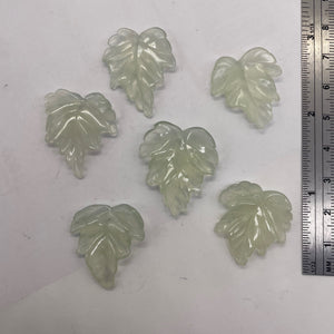 Serpentine New Jade Leaf Beads | 25x23x4 to 24x23x4mm | Light Mint | 6 Beads |