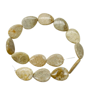 Fossilized Coral Flat Pear Pendant Bead Strand 107084