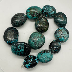 Turquoise Natural Focal Nugget Strand | 310g | 16" | Blue, Black | 12 Beads |
