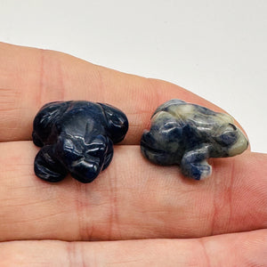 Ribbit 2 Realistic Carved Sodalite Frog Beads | 20x18x9.5mm | Blue white