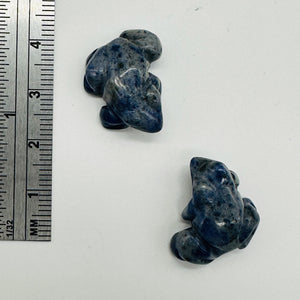 Ribbit 2 Realistic Carved Sodalite Frog Beads | 20x18x9.5mm | Blue white