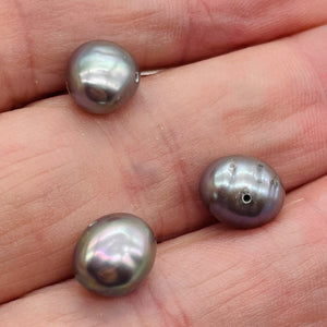 3 Huge Icy Harvest Moon Freshwater Pearls 002262