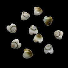 Load image into Gallery viewer, Shiva Shell Parcel Heart Cut Beads | 6x3mm | White, Tan | 10 Beads
