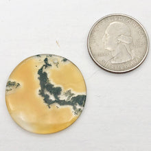 Load image into Gallery viewer, Orange Limbcast Pendant Bead - Harvest Moon | 28x2mm | Orange | Round | 1 Bead |

