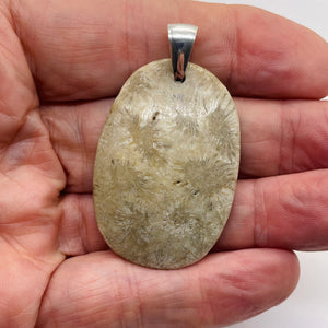 Coral Fossilized with Tiny Critters Sterling Silver Pendant | 2 1/4" Long |