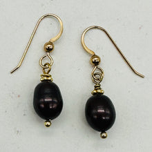 Load image into Gallery viewer, Black Cherry Freshwater Pearl 14kgf Earrings | 1&quot; Long | 12x8mm Pearls | 1 Pair|
