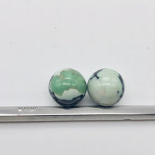 Load image into Gallery viewer, 2 Spiderweb Green Turquoise 12mm Round Beads 7535
