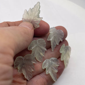 Serpentine New Jade Leaf Beads | 25x23x4 to 24x23x4mm | Light Mint | 6 Beads |