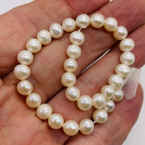 6.5 x 7mm Cream White FW Pearl 8 inch Strand 001304HS