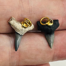 Load image into Gallery viewer, Shark Teeth Natural Fossilized Pendants | 1&quot; Long | Grey, White | 2 Pendants |
