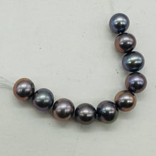 Load image into Gallery viewer, Spectacular Natural Forget-Me-Not Hued Freshwater Pearls | 7mm | 10 Pearls |
