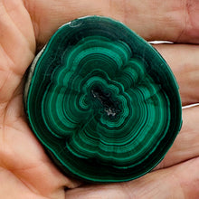 Load image into Gallery viewer, Malachite 37g Polished Round Stalactite Slice | 1 Specimen | | 46x41x7mm | Green

