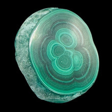 Load image into Gallery viewer, Malachite 36g Polished Round Stalactite Slice | 43x3=x8mm | Green | 1 Specimen |
