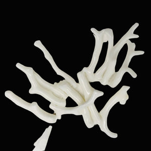 Coral Branch Beads | 31x3 to 27x2mm | White | 14 Beads |