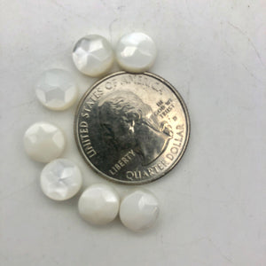 Mississippi White Ebony Shell 7 Coin 8x4mm Beads