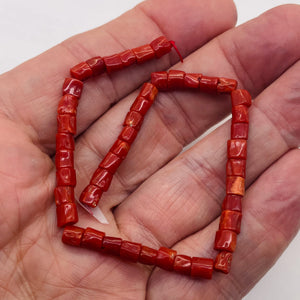 Natural AAA Red Coral Branch Bead Strand | 4x6mm | 44 Beads |