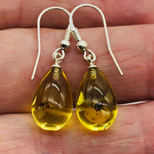 Load image into Gallery viewer, Amber Ovaloid Sterling Silver Earrings | 1 1/4&quot; Long | Yellow | 1 Pair |
