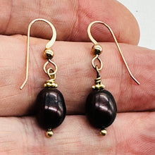 Load image into Gallery viewer, Black Cherry Freshwater Pearl 14kgf Earrings | 1&quot; Long | 12x8mm Pearls | 1 Pair|
