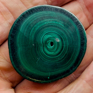 Malachite 31g Polished Round Stalactite Slice | 41x41x7mm | Green | 1 Specimen |
