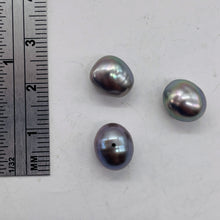 Load image into Gallery viewer, 3 Huge Icy Harvest Moon Freshwater Pearls 002262
