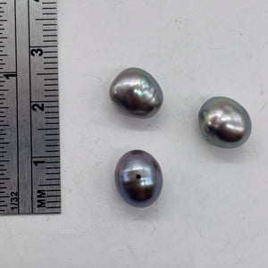 3 Huge Icy Harvest Moon Freshwater Pearls 002262