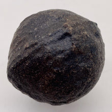 Load image into Gallery viewer, Ridged Moqui Shaman Stone 123g Display Specimen | 44x43mm | Brown | 1 Specimen
