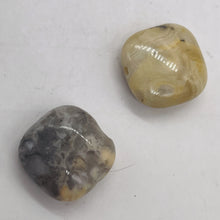 Load image into Gallery viewer, Two Beads of Wild Crazy Lace Agate Square Coin Beads 9225

