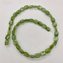 Load image into Gallery viewer, Silver Schiller Green Kyanite Bead Strand | 10x8mm | Green Silver | 41 Beads |
