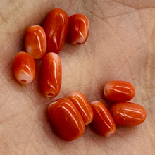 Load image into Gallery viewer, Coral Oval Graduated Beads Parcel | 20 Beads | 8x4 to 6x3mm | Red |
